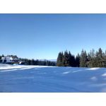 Zdjęcia użytkowników myPhone Hammer Axe Pro