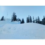 Zdjęcia użytkowników myPhone Hammer Axe Pro