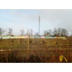 Zdjęcia użytkowników myPhone Hammer Axe Pro