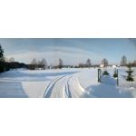 Zdjęcia użytkowników myPhone Hammer Axe Pro