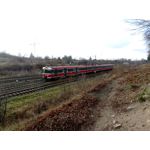 Zdjęcia użytkowników myPhone Hammer Axe Pro