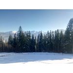 Zdjęcia użytkowników myPhone Hammer Axe Pro