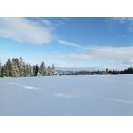 Zdjęcia użytkowników myPhone Hammer Axe Pro