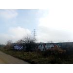 Zdjęcia użytkowników myPhone Hammer Axe Pro