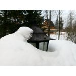 Zdjęcia użytkowników myPhone Hammer Axe Pro