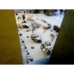 Zdjęcia użytkowników myPhone Hammer Axe Pro