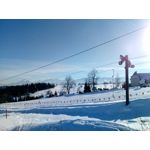 Zdjęcia użytkowników myPhone Hammer Axe Pro