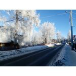 Zdjęcia użytkowników myPhone Hammer Axe Pro