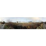 Zdjęcia użytkowników myPhone Hammer Axe Pro