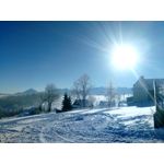 Zdjęcia użytkowników myPhone Hammer Axe Pro