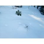 Zdjęcia użytkowników myPhone Hammer Axe Pro