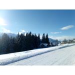 Zdjęcia użytkowników myPhone Hammer Axe Pro