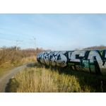 Zdjęcia użytkowników myPhone Hammer Axe Pro