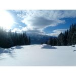 Zdjęcia użytkowników myPhone Hammer Axe Pro