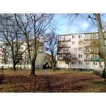 Zdjęcia użytkowników myPhone Hammer Axe Pro