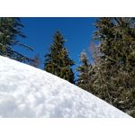 Zdjęcia użytkowników myPhone Hammer Axe Pro