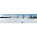 Zdjęcia użytkowników myPhone Hammer Axe Pro