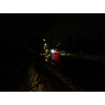 Zdjęcia użytkowników myPhone Hammer Axe Pro