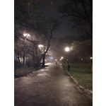 Zdjęcia użytkowników myPhone Hammer Force