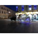 Zdjęcia użytkowników myPhone Hammer Force