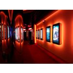 Zdjęcia użytkowników myPhone Hammer Force