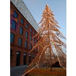 Zdjęcia użytkowników myPhone Hammer Force