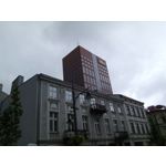 Zdjęcia użytkowników myPhone Hammer Iron 2
