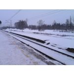 Zdjęcia użytkowników myPhone Hammer Plus