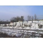 ZDJĘCIA Z TEGO TELEFONU