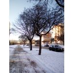 Zdjęcia użytkowników myPhone L-Line