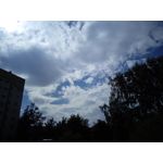 Zdjęcia użytkowników myPhone Luna II