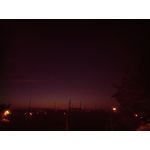 Zdjęcia użytkowników myPhone Luna II