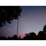 Zdjęcia użytkowników myPhone Luna II