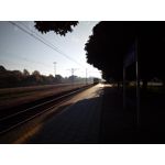 Zdjęcia użytkowników myPhone Luna II