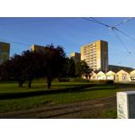 Zdjęcia użytkowników myPhone Luna