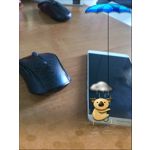 Zdjęcia użytkowników myPhone Luna