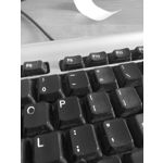 Zdjęcia użytkowników myPhone Luna