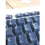 Zdjęcia użytkowników myPhone Luna