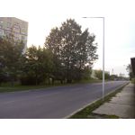 Zdjęcia użytkowników myPhone Luna