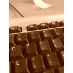 Zdjęcia użytkowników myPhone Luna