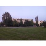 Zdjęcia użytkowników myPhone Luna