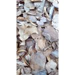 ZDJĘCIA Z TEGO TELEFONU