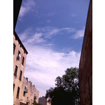 Zdjęcia użytkowników myPhone mySmart A330 Arii