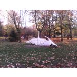 Zdjęcia użytkowników myPhone myTAB 7 Q-Premium