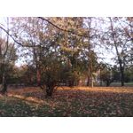 Zdjęcia użytkowników myPhone myTAB 7 Q-Premium