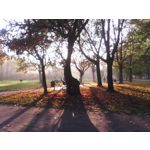 Zdjęcia użytkowników myPhone myTAB 7 Q-Premium