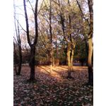 Zdjęcia użytkowników myPhone myTAB 7 Q-Premium