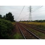 Zdjęcia użytkowników myPhone Power