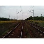 Zdjęcia użytkowników myPhone Power