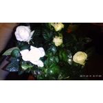 ZDJĘCIA Z TEGO TELEFONU